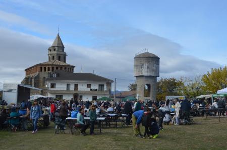 Image DSC_0533.JPG